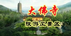 91插插在线视频中国浙江-新昌大佛寺旅游风景区